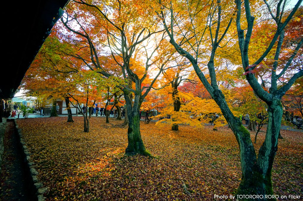 Tofukuji Temple