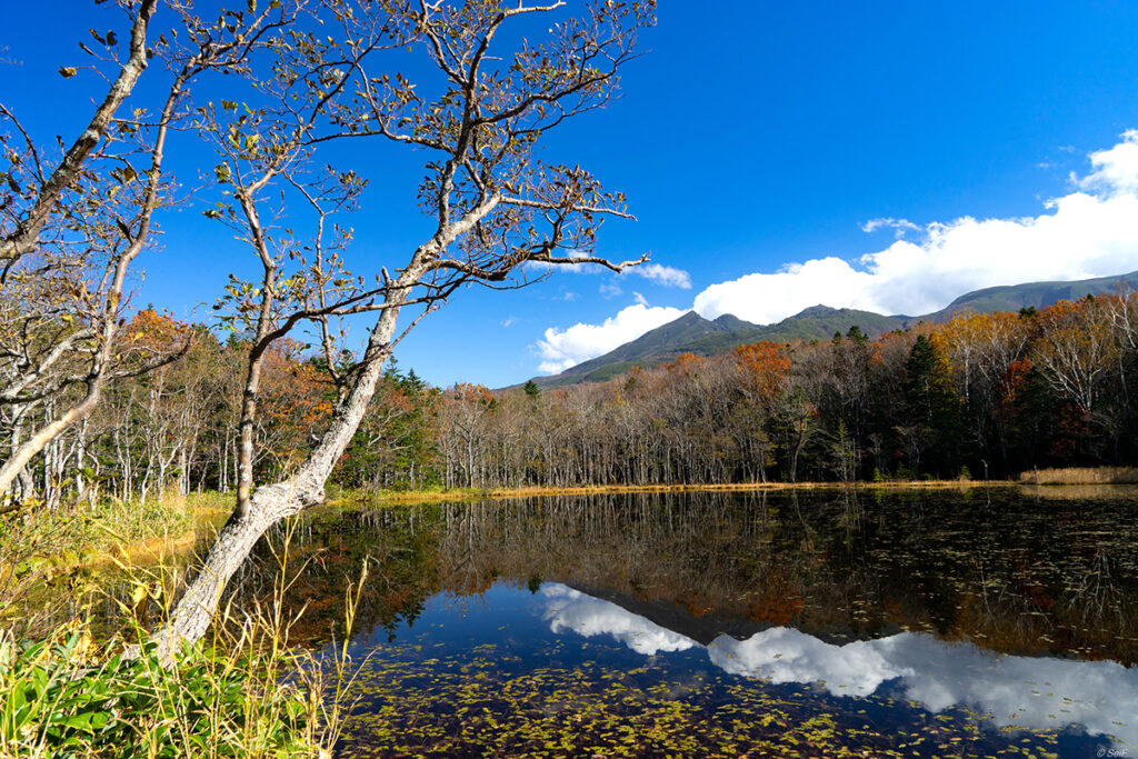 Shiretoko Five Lake