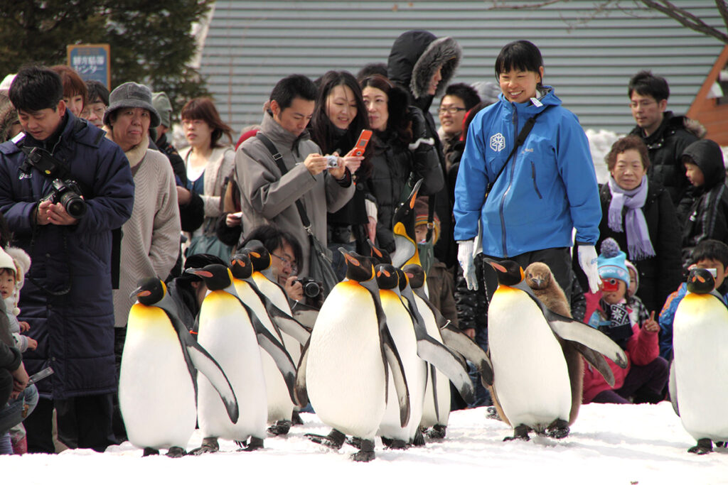 Asahiyama zoo